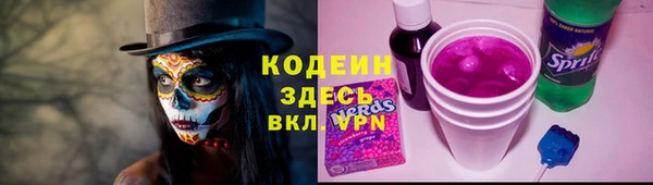 дурь Арсеньев