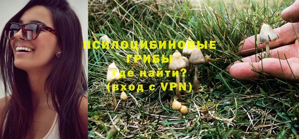 прущие крисы Алзамай