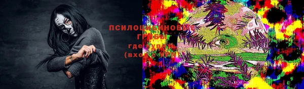 дурь Арсеньев